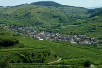 Oberbergen im Kaiserstuhl, der etwa 1000 Einwohner z�hlende bekannte Winzerort wurde 972 urkundlich das 1.Mal erw�hnt, Juli 2011