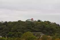 Der Reilsberg in Halle/Saale, aufgenommen am 05.10.2011 von der Giebichenstein-Br�cke aus. Die Geb�ude auf dem Berg geh�ren zum Zoologischen Garten der Stadt (Aussichtsturm und Freifluggehege).