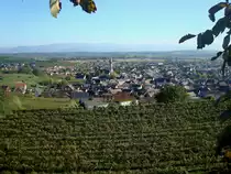 Ihringen, am S�drand des Kaiserstuhles gelegen, ist der w�rmste Ort in Deutschland, im Hintergrund der Schwarzwald, Okt.2010 