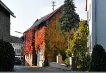 Mit Herbstlaub bedeckter d�rflicher Bauernhof in Flerzheim (SU-Kreis) - 08.11.2011