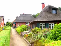 Der L�becker Stadtteil Gothmund an der unteren Trave gelegen, ist eine ehemalige Siedlung der Travefischer. Eine wahre Augenweide sind die alten Reetgedeckten H�user. Zwei Berufsfischer haben ihre Kutter im Gothmunder Hafen liegen, der sehr versteckt im Schilf liegt. Aufnahmedatum: Mittags 26.6.2011...