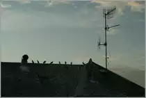 Auch diese Ansicht von Strasbourg hat ihren Reiz, besonders wenn man Tauben und Fernsehantennen mag...
28.10.2011