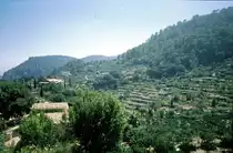 Valdemossa - Terrassen (Sommer 1999)