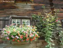 Gerstruben im Dietersbachtal: Alter Hof von 1617 - Detailaufnahme eines blumigen Fensters (August 2010)