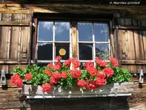Alpe Gschwenderberg - im Fenster spiegeln sich gegen�berliegende Bergkuppen (Oberallg�u - Sommer 2008)