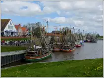 . Greetsiel (Krummh�rn) - Am Neuen Deich. 06.05.2012 (Hans)