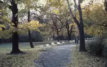 Wien Stadtpark am 3. November 1976.