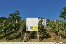 Hamburgs Weinberg an den Landungsbr�cken in St.Pauli. Foto vom 01.05.2011.