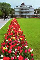 Das Restaurant  Wasserbahnhof  auf der Schleuseninsel ist ein Wahrzeichen von M�lheim (6. Mai 1992). Hier legen die Schiffe der M�lheimer  Wei�en Flotte  zur Fahrt ruhraufw�rts nach Kettwig ab.