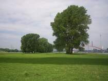 Rheinaue im Duisburger Westen
im Hintergrund :  Br�cke der Solidarit�t  
erhielt den Namen w�hrend des Arbeitskampfes um Krupp