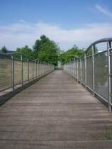 Der Businesspark Niederrhein ist nicht nur ein Gewerbegebiet, sondern auch ein Park mit sehr viel Gr�n, modernen Geb�uden und Kunstobjekten.