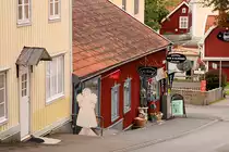 Auch ein Blick abseits der Hauptstra�e ist durchaus lohnenswert, hier eine kleine Buchhandlung. Gr�nna 20.08.2008