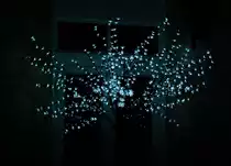 Dieses Bild entstand in Dormagen Zons, einer alten Festungsstadt zwischen K�ln und Neuss am Niederrhein. Aufnahme vom 30.12.2011