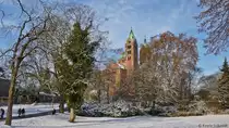Durch die B�ume des Domgartens kann man den Speyerer Dom ersp�hen. (08.12.2012)