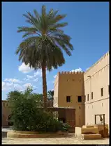 Ein Brunnen und eine Palme im Hof der Festung von Nizwa. (03.12.2012)