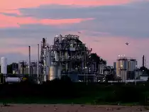 KAO, Chem.Fabrik am Rheinufer bei Emmerich; 110827