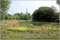 Der Turm des Bad Doberaner M�nsters �berragt die Baumwipfel. Aufnahmedatum: 14.06.2007