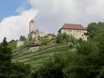 Burg Hornberg bei Gundelsheim, erbaut im 11. Jahrhundert durch die Grafen von 
von Lauffen (24.08.2008)