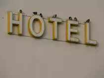 Hotel f�r Tauben, gesehen in Norddeich Mole, 30.12.2012