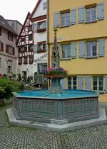 Riedlingen, der Schwedenbrunnen von 1866 auf dem Haldenplatz, Aug.2012