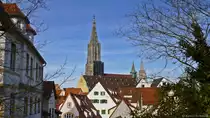 �ber die D�cher der Altstadt hinweg ist der gewaltige Westturm des <a href= http://www.ulmer-muenster.de/ >Ulmer M�nsters</a> zu sehen. (16.03.2013)