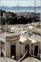 Lissabon. Vom Cemit�rio dos Prazeres (Friefhof der Freuden) hat man auch einen Blick auf die Tejo-Br�cke.
Scan eines Dias vom April 1995. 

