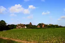 Diesen Blick auf Nieblum (Insel F�hr) gibt es nur, solange der unvermeidliche (?) Mais die Perspektive noch nicht verdeckt. Aufgenommen am 2. Juli 2013.