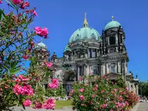 Bunte Pl�tenpracht und imposante Architektur des Berliner Doms in harmonischer Farbkomposition, 02.08.2013.