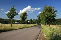 Blick zur hoch �ber der Zschopau thronenden Sachsenburg bei Frankenberg. Die 1220/30 errichtete und 1480-88 unter Caspar von Sch�nberg zum sp�tgotischen Schloss umgebaute Burg diente im 19./20. Jh. unter anderem als Schulungsheim und Jugenderziehungsanstalt (DDR-Jugendwerkhof). Heute wird das Geb�ude noch restauriert, kann aber teilweise besichtigt werden.