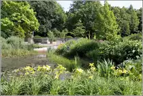 Bremen. Im weitl�ufigen Rhododendronpark gibt es vielerlei Pflanzen zu bewundern. 11.07.2013