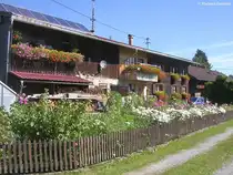 Alter Bauernhof mit Bauerngarten, gesehen in Gunzesried (Oberallg�u, Sommer 2009)