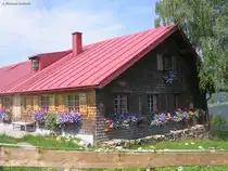 Alpe westlich vom  Allg�uer Berghof  auf den H�rner, Ofterschwang (Landkreis Oberallg�u, Sommer 2009)