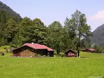 Bauernh�fe im Trettachtal zwischen Christlessee und Spielmannsau s�dlich von Oberstdorf (Landkreis Oberallg�u, Sommer 2009)