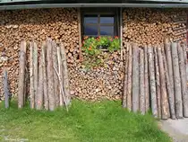 Buchelalpe auf 1.290 m H�he oberhalb von Unterjoch (Landkreis Oberallg�u, Sommer 2009)