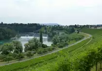 Rheinau, Blick von der Bergkirche auf den Rhein mit dem Elektizit�tskraftwerk, Juli 2013