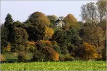 In Vollersode-Wallh�fen ragen die Fl�gel der Holl�nderwindm�hle aus den umgebenden B�umen. Heute wird die 1880 errichtete M�hle als Wohnhaus genutzt. 22.10.2013