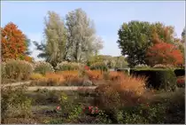 Bremerv�rde. Herbstfarben im Natur- und Erlebnispark am V�rder See. 22.10.2013