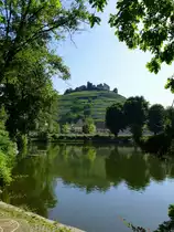 Staufen im Breisgau, Blick �ber den Stadtsee zur Burgruine, Aug.2013