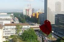 Eine der Hauptverkehrsadern in Frankfurt - der Cityring, hier ganz in der N�he des Messegel�ndes.
