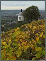 Am 1. November 2013 ist die Weinlese in Radebeul bereits abgeschlossen, das Weinlaub zeigt sich hingegen in der sch�nsten Farbenpracht. Der 1742 errichteten Weinbergspavillion Jacobstein geh�rt zum Schloss Wackerbarth und wird von einer Bacchusfigur gekr�nt. Der Jacobstein ist ein beliebter Aussichtspunkt mit Blick auf das Elbtal von Dresden bis Mei�en, im Hintergrund sind Coswig und Radebeul-Naundorf zu sehen. 