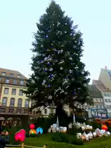 Weihnachtsm�rkte im Elsass - Stra�burg, der schiefe Weihnachtsbaum der Place Kleber mit seiner Neigung von etwa 4 Grad erinnert an den schiefen Turm von Pisa - 13.12.2013