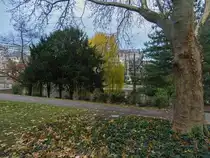 Die Bockenheimer Anlage, eine von den vielen Gr�nfl�chen in Frankfurt am Main.