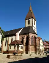 Endingen am Kaiserstuhl, die Wallfahrtskirche St.Martin von der S�d-Ost-Seite, Juli 2013
