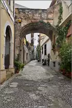 Scilla - Charme der Gassen im St�dtchen. Sommer 2013.