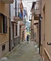 Scilla - In den Gassen des St�dchens. Sommer 2013.