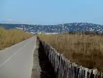 Frankreich, Languedoc, H�rault, der Radweg S�te-Marseillan, links und rechts die rehabilitierten D�nen. 04.02.2014