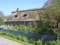  Caf� Lichthof!  in Falsh�ft in der Geltinger Birk n�rdlich von Kappeln (Kreis Schleswig-Flensburg, Schleswig-Holstein, Mai 2010)