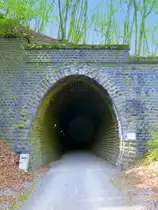 Deutschland, Rheinland-Pfalz, Fritz Wunderlich Radweg, Tunnel (L�nge: 190m) zwischen Ruthweiler und Thallichtenberg im Landkreis Kusel. 16.04.2014