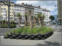 Der Stresemannplatz in D�sseldorf nach der Neugestaltung mit den Yucca-Pflanzen und den Autoreifen. (07.07.2007)  