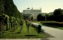 Wien im Juli 1992: Volksgarten und (im Hintergrund)  die Burg , das Wiener Burgtheater.
